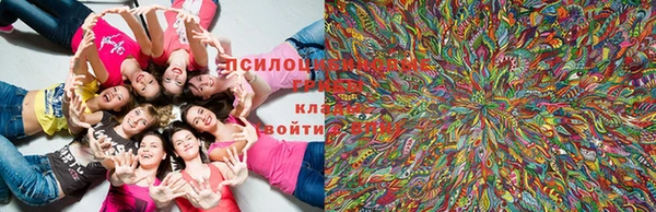 apvp Бронницы