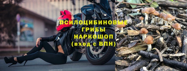 марихуана Тавда