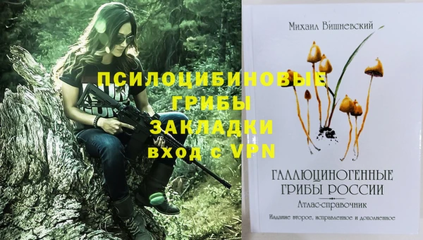 мяу мяу кристалл Бородино