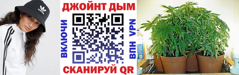 как найти наркотики  Можайск  МАРИХУАНА конопля 